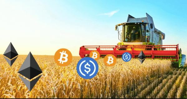 What Is Yield Farming in Crypto?