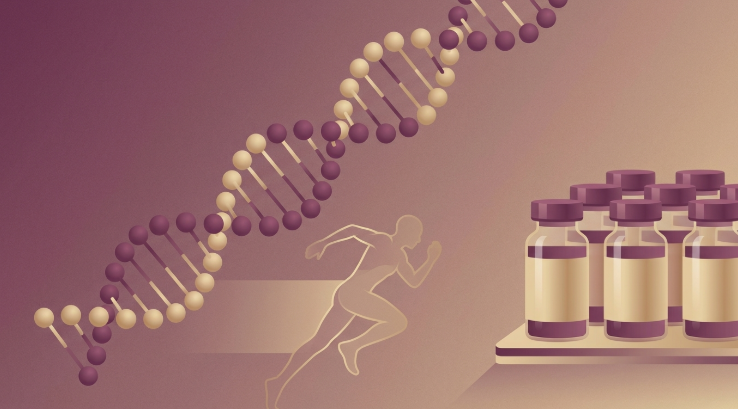 Tesamorelin vs Ipamorelin: Which to Source and Where